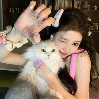 笨蛋·测验·召唤兽 续篇